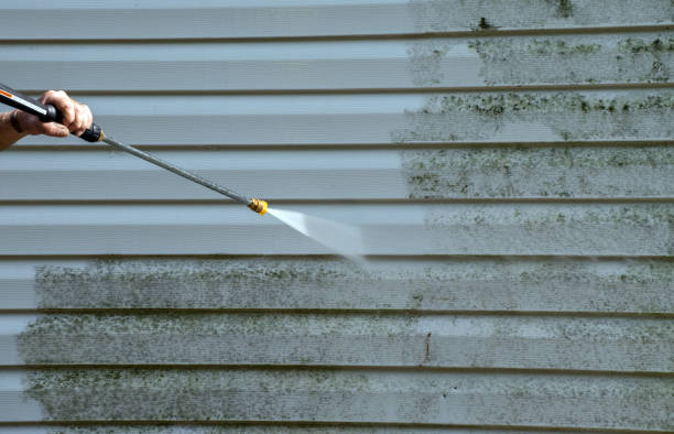 Best Solar Panel Cleaning  in Rossville, TN